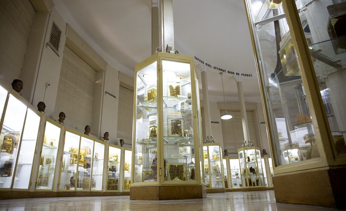 Museo Forense: un espacio de inters jurdico y cientfico